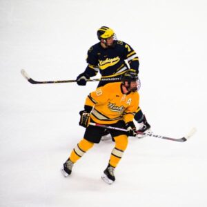 Interview an NHL player